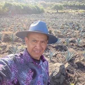 Meet your Posher, Luis